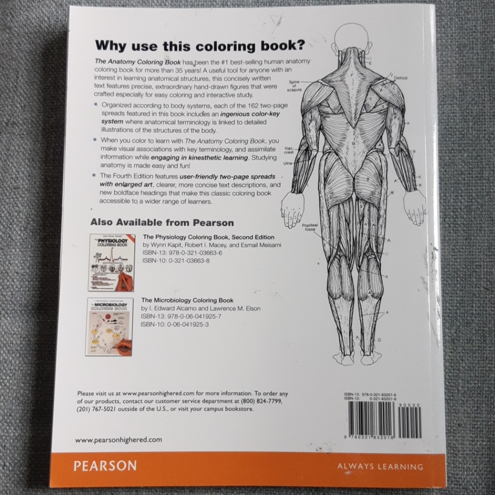The Anatomy Coloring Book - Picture 2 of 2